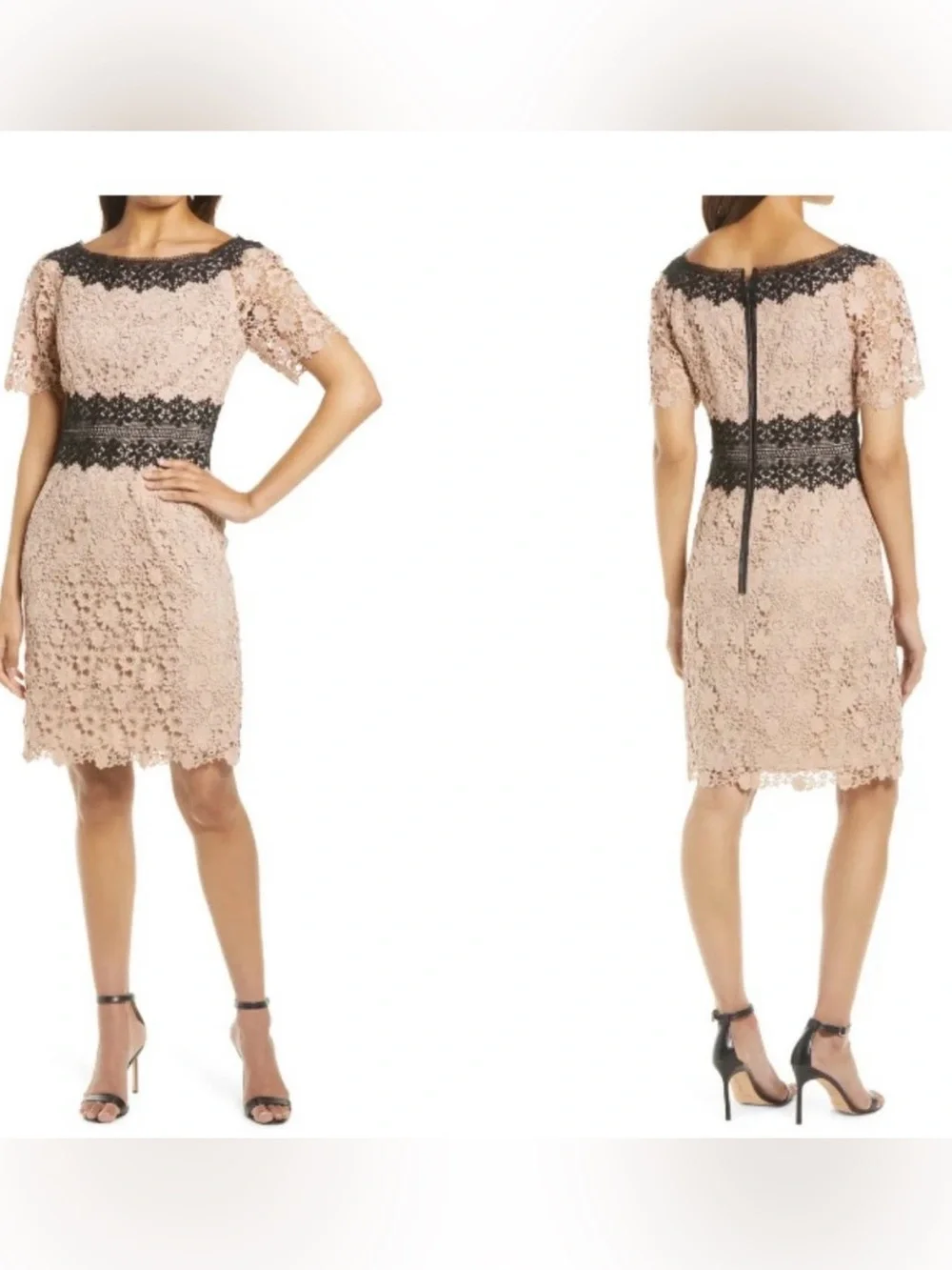 NWT SHANI Colorblock Lace Sheath Dress Champagne 10